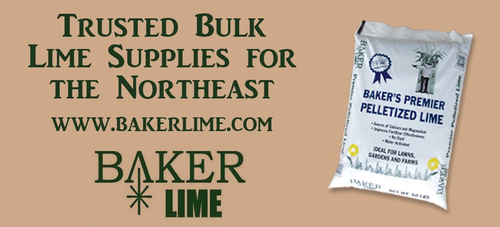 Baker Lime